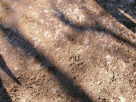 氷実験レポートNo．２