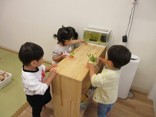 画像2.jpg
