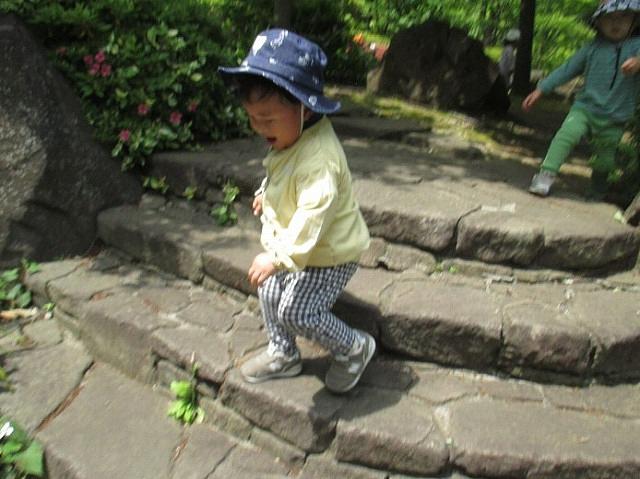 小杉②.jpg