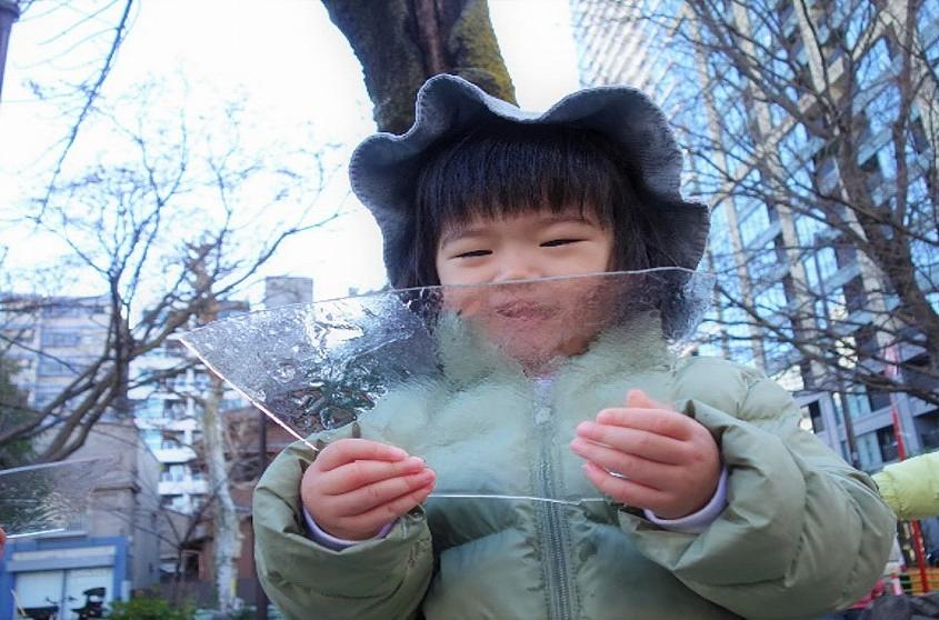 「なんだろう」の探求心、好奇心いっぱいの活動