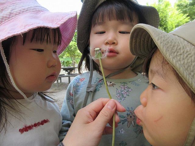 画像14.jpg
