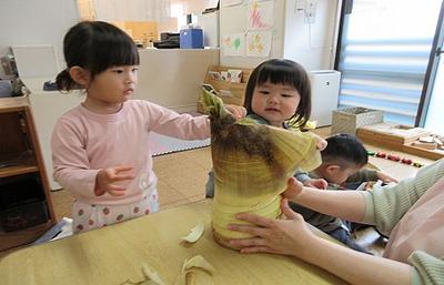 筍ってどんなの？