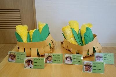 とうもろこし製作