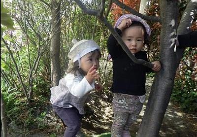 雨の後の園庭
