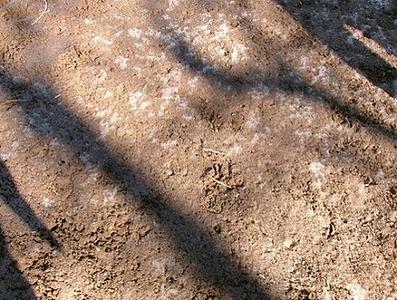 氷実験レポートNo.1