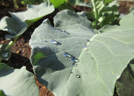 子ども達の気付き