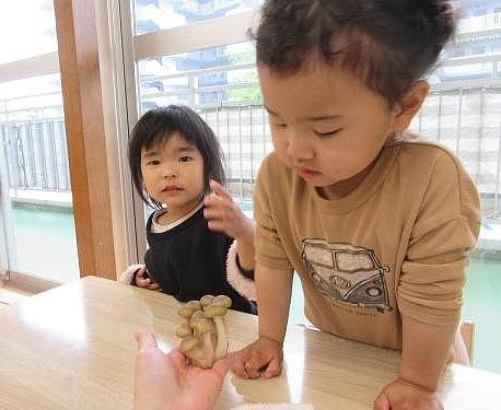 画像１.jpg