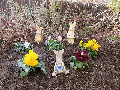 園庭のお花買い物