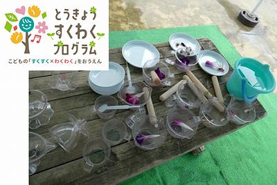 朝顔の実験!