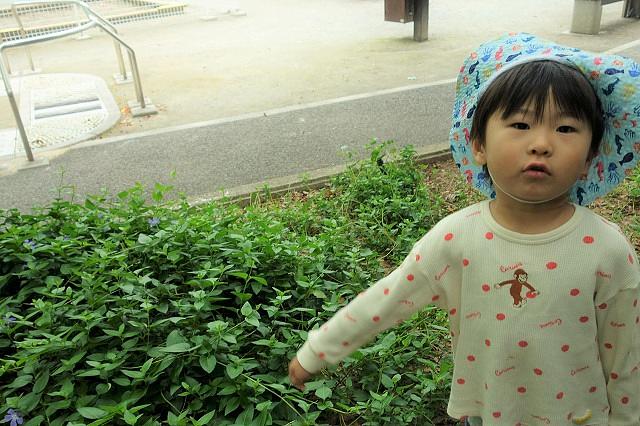 画像4.jpg