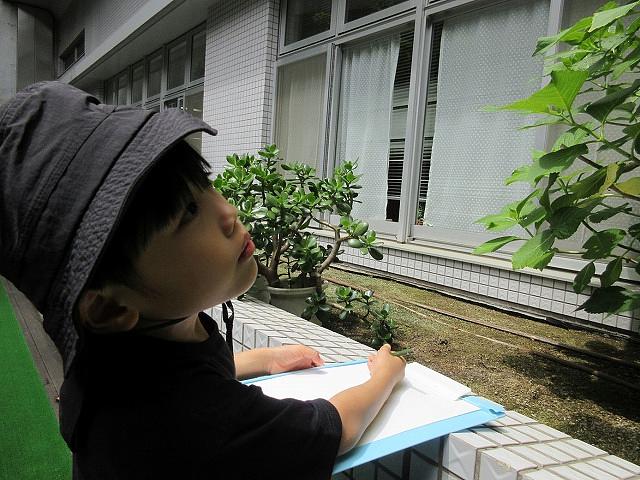 画像2.jpg