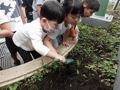 続　小さな命が教えてくれること