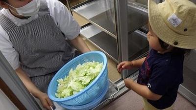 キャベツちぎりをしたよ