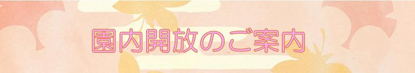 11/26（木）🍁園庭解放のご案内