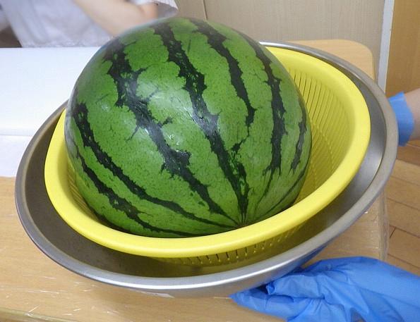 🍉おいしかったね!すいかパーティー🍉