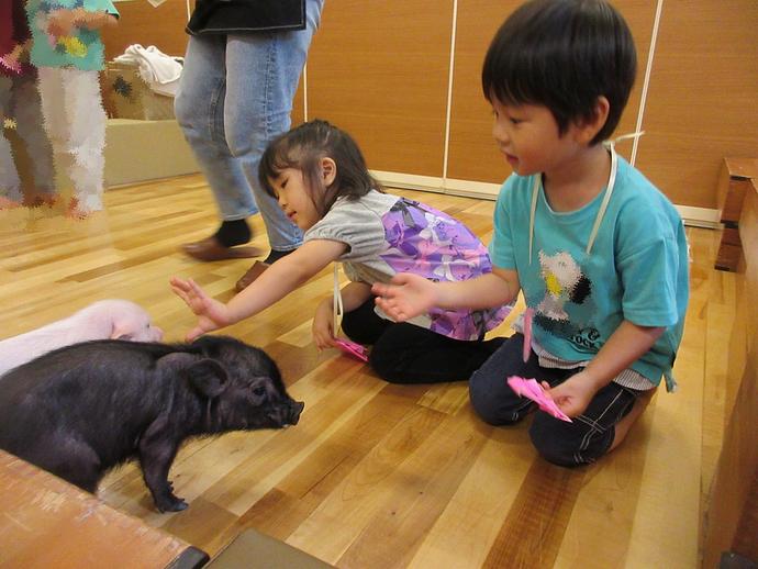 画像5.jpg