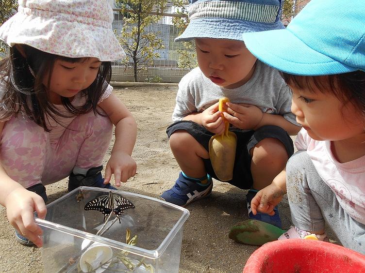 ベネッセ 目白保育園