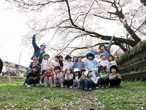 野川桜並木のトンネルで春を満喫してきたよ！！