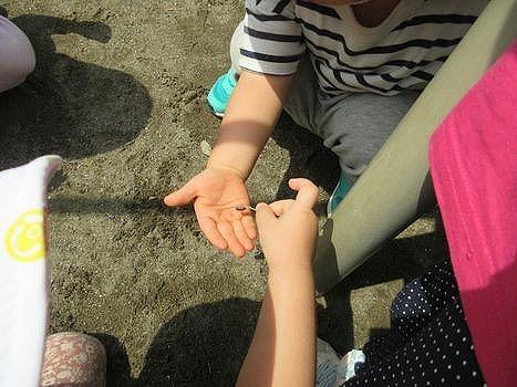 画像10.jpg
