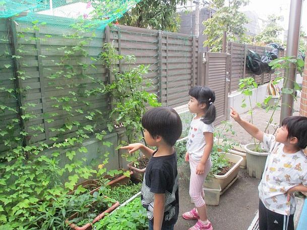 どんな風にできあがるかな？