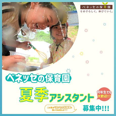 🌻夏季アシスタントの募集を始めました🌻