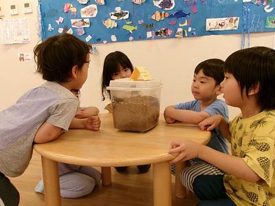 生き物は保育者一人分