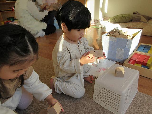 光と色のふしぎを見つけたよ