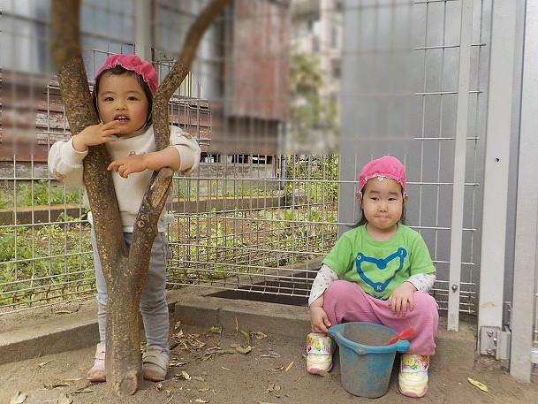 サーチャー（2歳児）さんの新年度