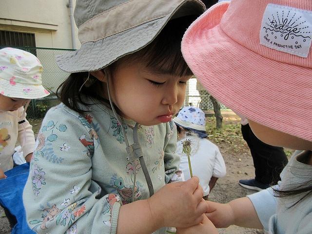 画像10.jpg