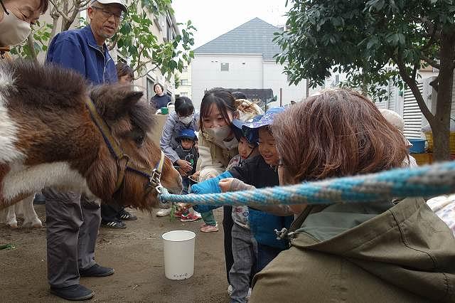 ポニーが園庭にやってきた！