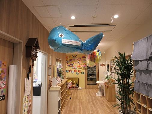 園内を泳ぐクジラとこいのぼり