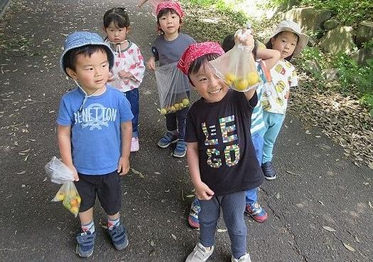 梅ジュースできるかな