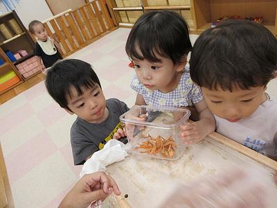 生き物も大切な仲間　#020生き物は保育者一人分