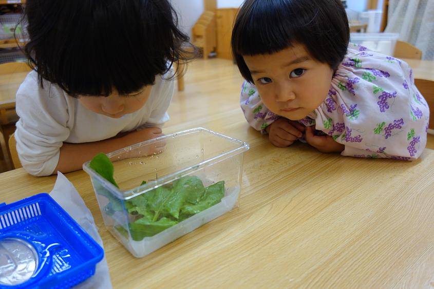 ベネッセ 美竹の丘保育園