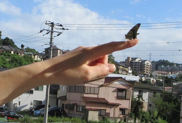 画像3.jpg