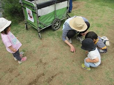 小さな発見