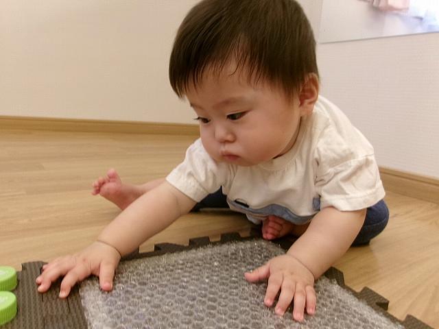 あお①.jpg