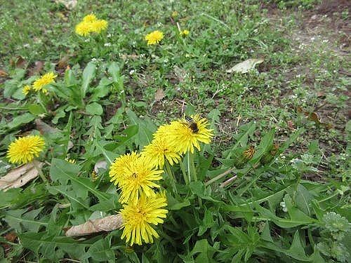 萩中一丁目公園🛝に行ったよ
