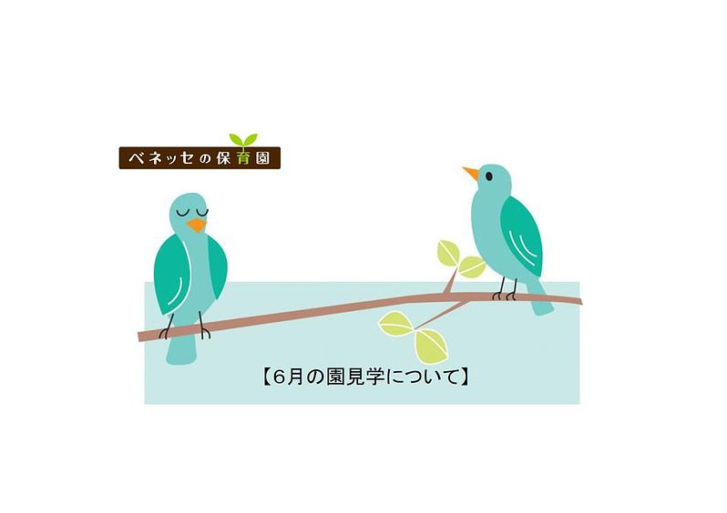 【 ６ 月の園見学について 】お知らせ