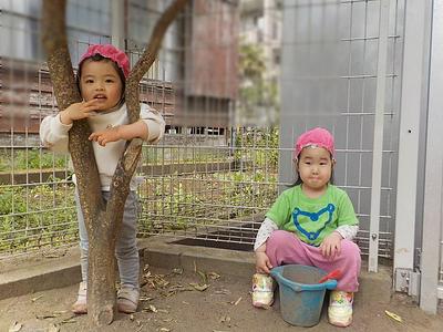サーチャー（2歳児）さんの新年度
