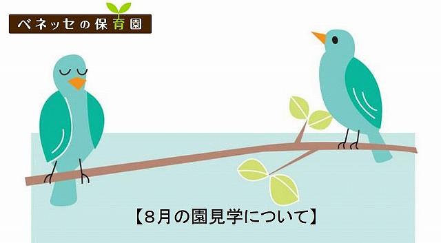 👒８月の園見学について👒ベネッセ石神井公園保育園