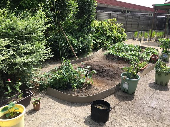 園庭には畑も。