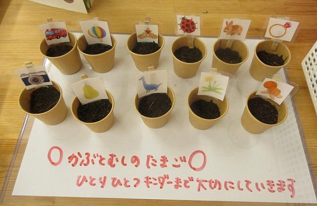 カブト10.jpg