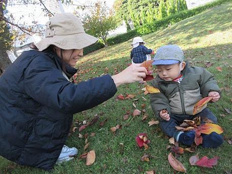 小さい秋みつけたよ