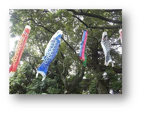 こいのぼり🎏を作ったよ！