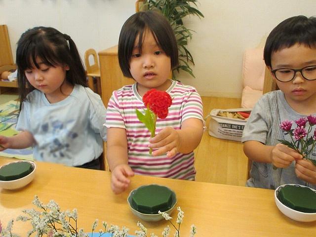 矢向②.jpg