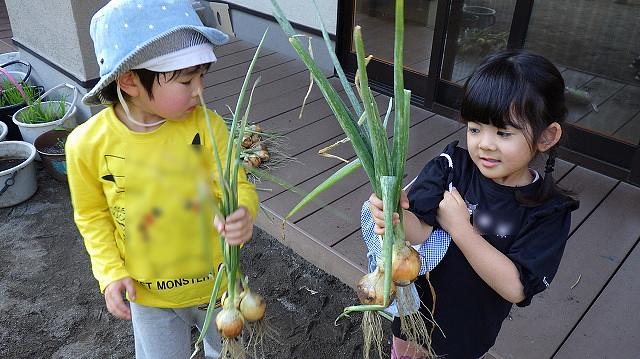 画像2.jpg