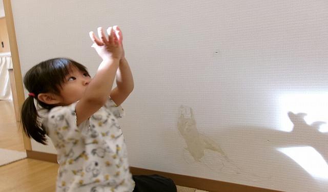 写真②.jpg