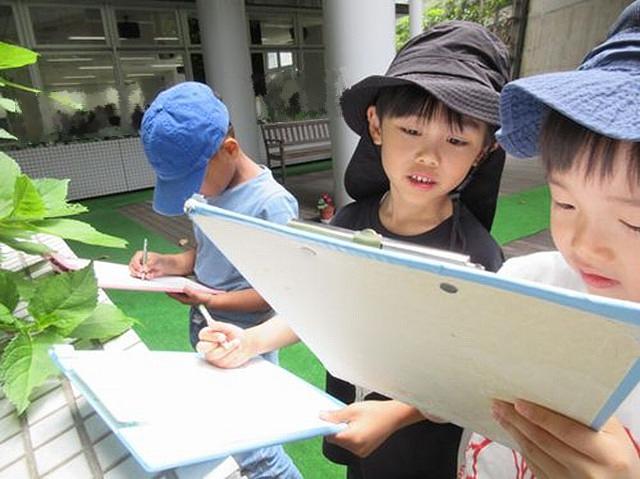 画像6.jpg