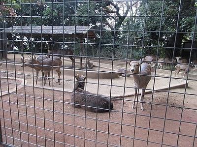 アクティブ遠足